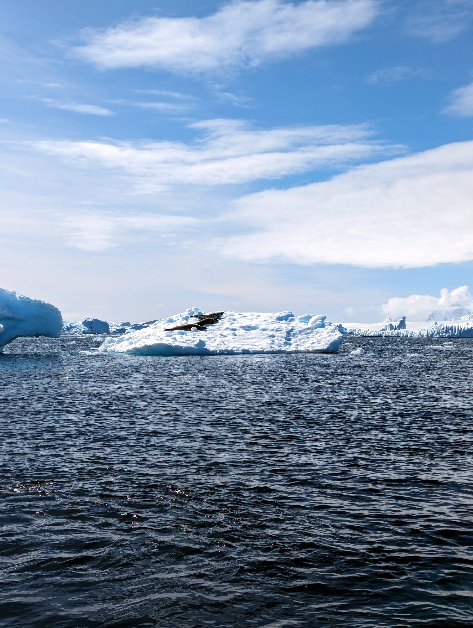 Une baie de la péninsule Antarctique, entre glace et montagnes (photo : Pierrick Nonnis).