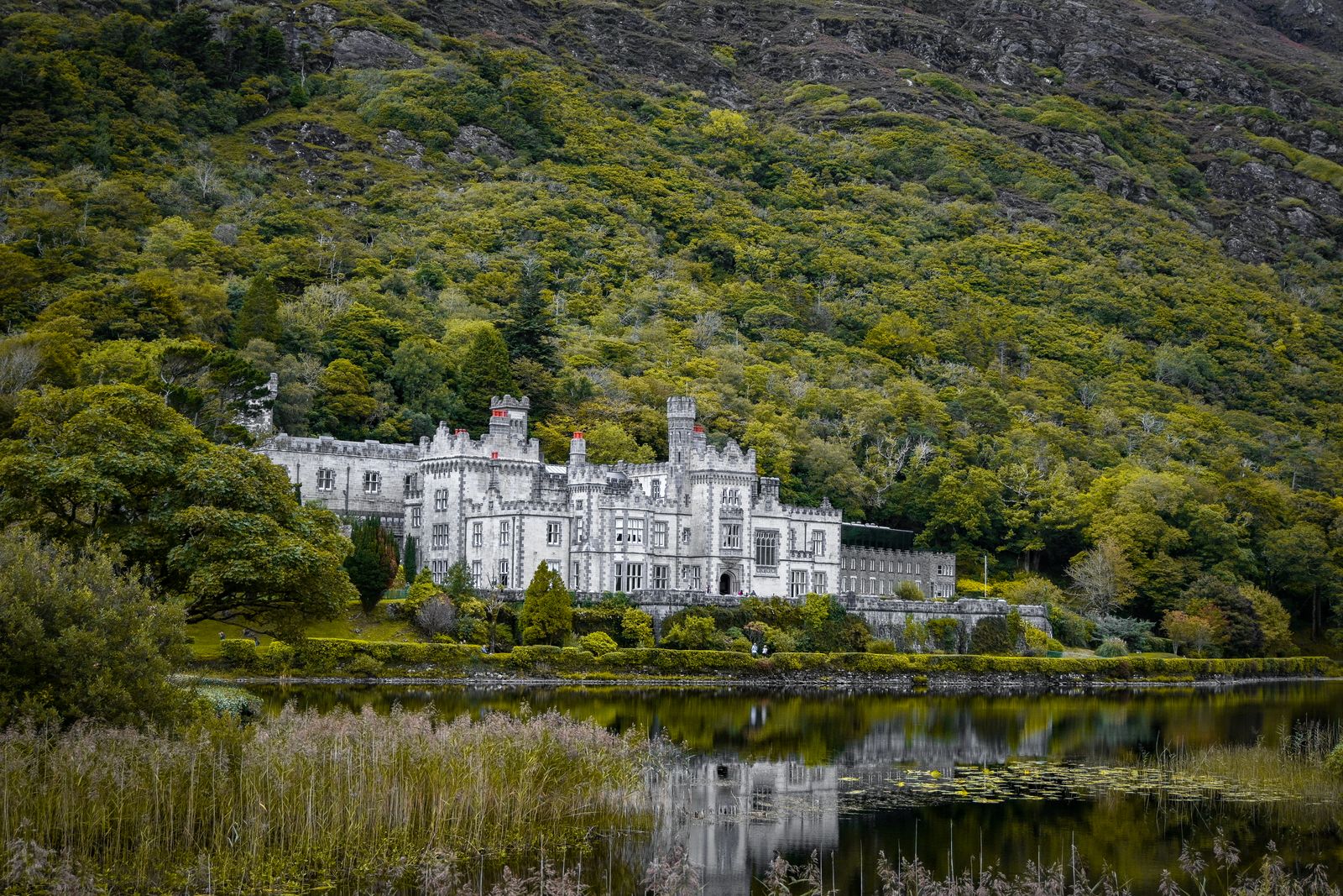 l'abbaye de Kylemore