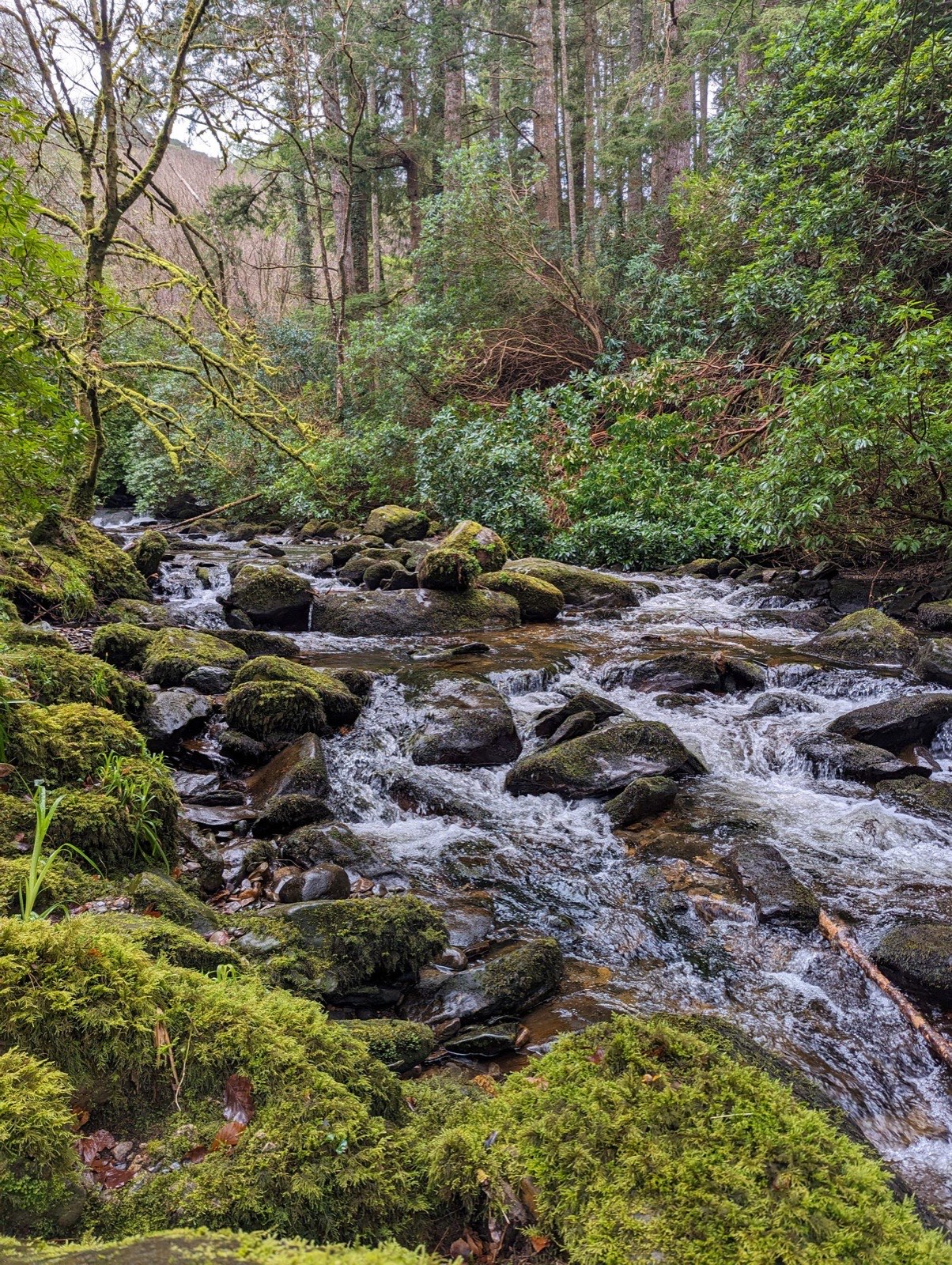 la cascade de Torc