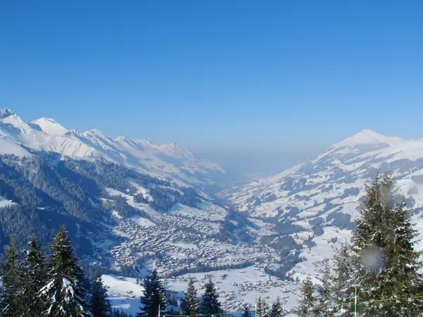 La vallée d'Adelboden enneigée vue d'en haut, forêt au premier plan (2006)