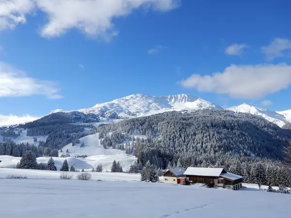 Le Stätzerhorn enneigé vu depuis Parpan, janvier