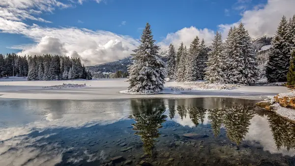 Lac Heidsee en partie gelé et sapins enneigés, Lenzerheide-Valbella, janvier