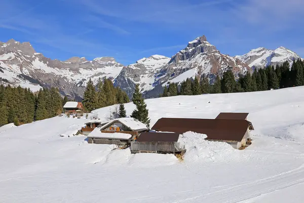 Chalets de la Gerschnialp sous la neige, au-dessus d'Engelberg (févr. 2019)