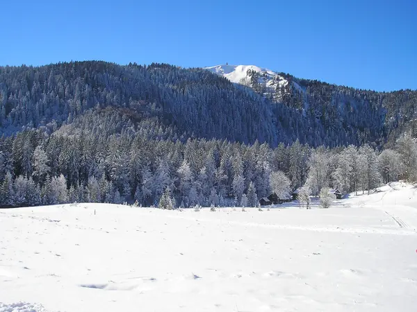 Le Seebuck enneigé et la forêt givrée (30 janv. 2011)