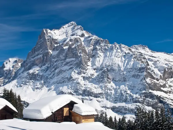 Le Wetterhorn vu des hauteurs de Grindelwald en hiver (mars 2009)