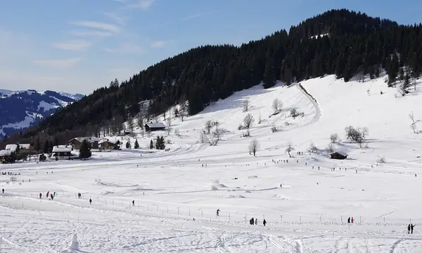 Espace nordique des Confins et la Tête du Danay sous la neige, janvier 2020