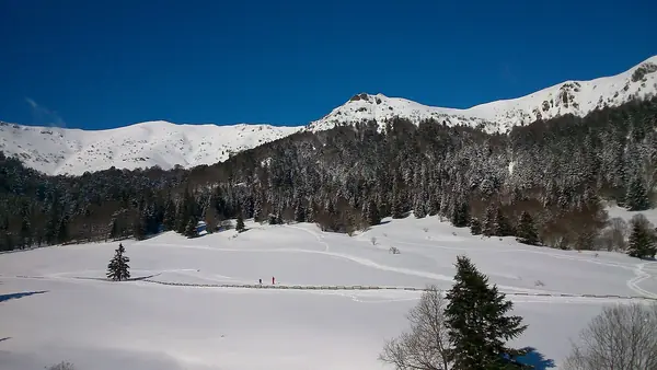 Font d'Alagnon enneigé au Lioran, février 2015