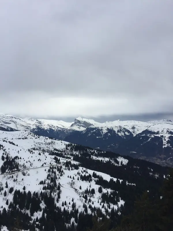 Versants boisés enneigés au-dessus des Gets et sommets du Chablais
