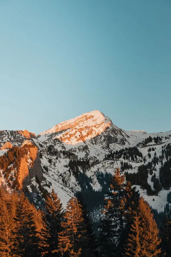 Sommet enneigé au soleil couchant au-dessus de sapins, Morzine (sommet non identifié, format portrait)