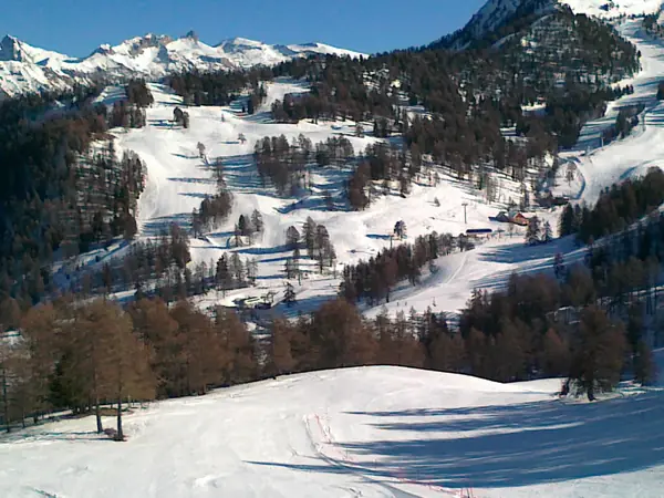 Pistes du domaine de Risoul entre les mélèzes (janvier 2012)