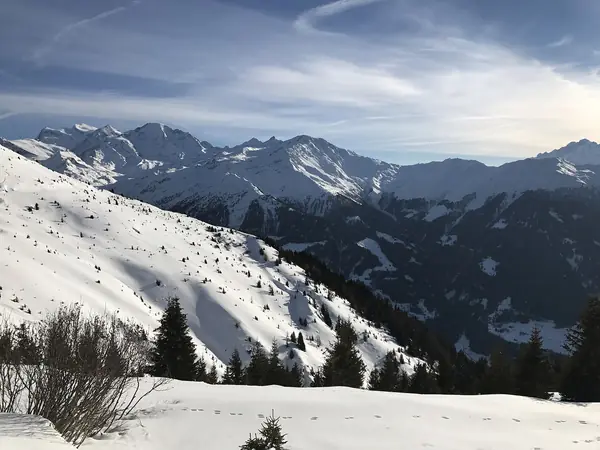 Pentes enneigées du domaine de Verbier, vue vers le sud-ouest (févr. 2017)