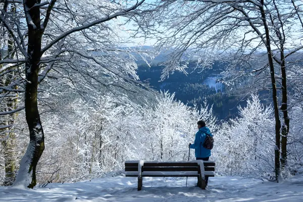 Promeneur près d'un banc dans une forêt enneigée de Winterberg