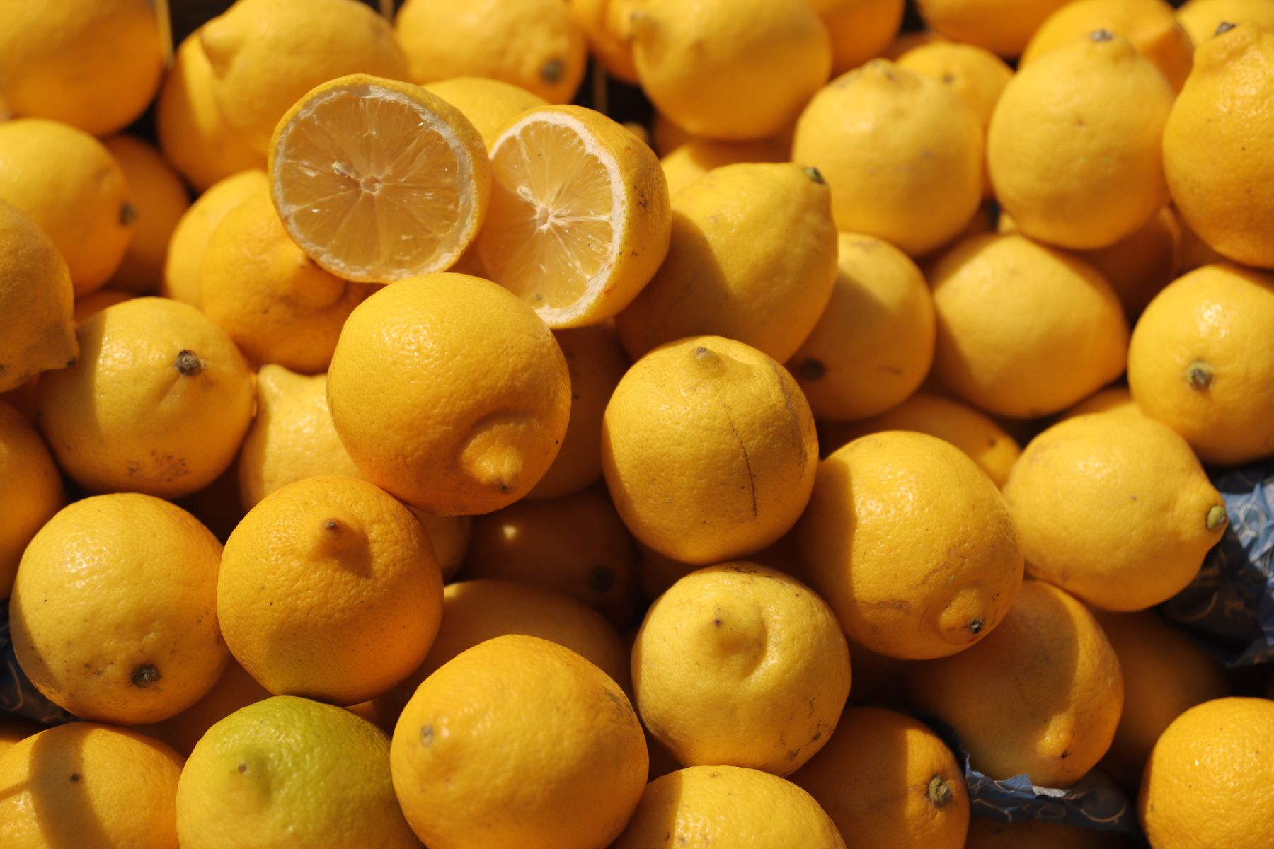 le limoncello et les citrons